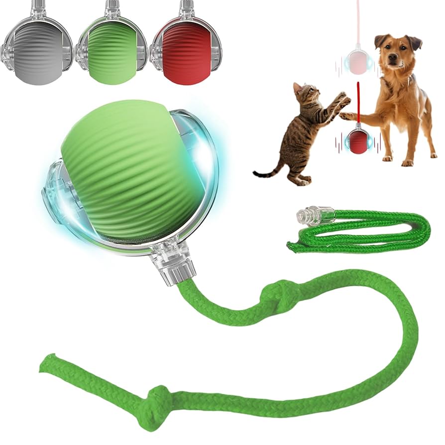Can Dogs Play With Cat Toys