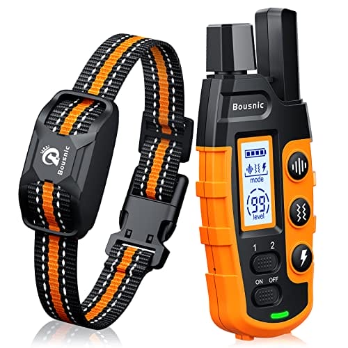 Dog Collars for Obedience Training