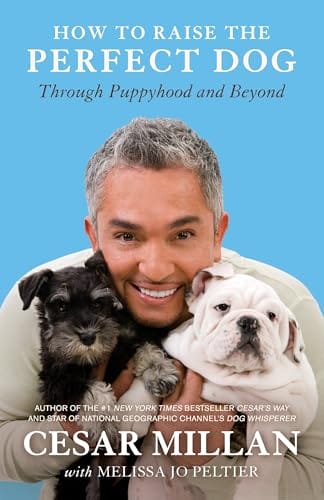 Dog Obedience Training New Orleans