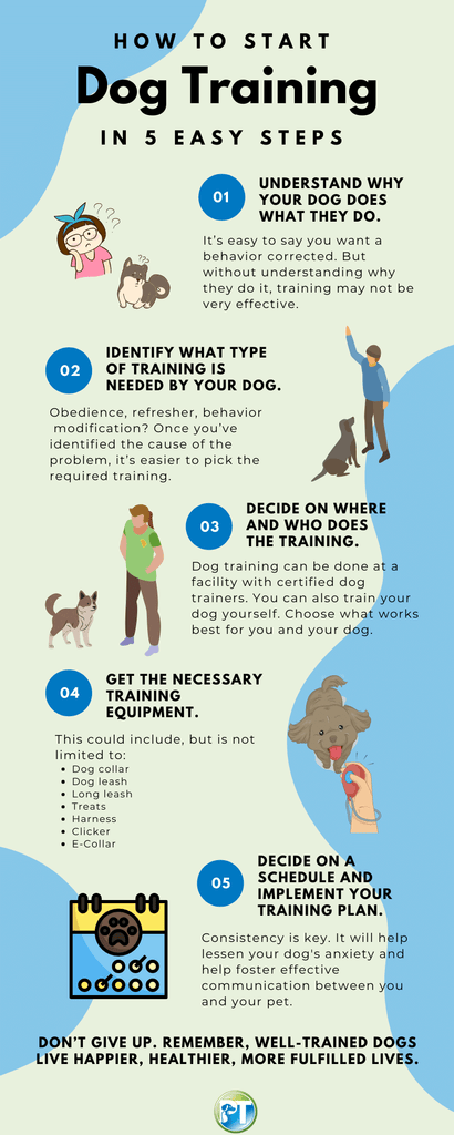 Why is Obedience Training Good for Dogs